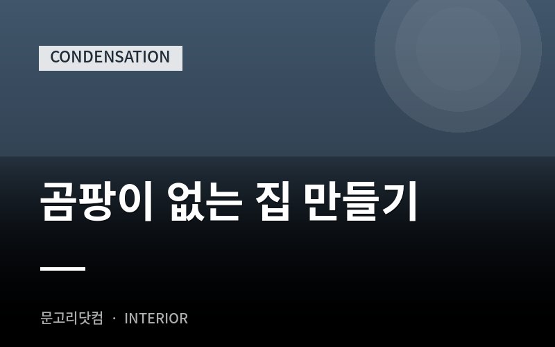 곰팡이 없는 집 만들기