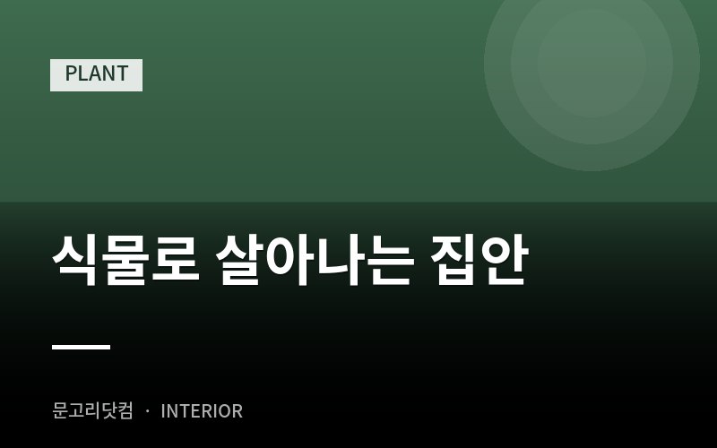 식물로 살아나는 집안