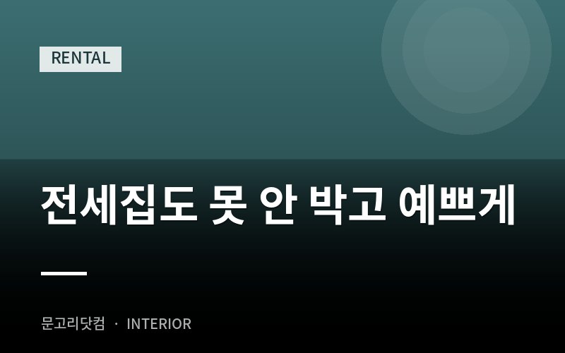 전세집도 못 안 박고 예쁘게